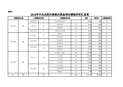 2019年中央自然灾害救灾资金项目绩效评价汇总表