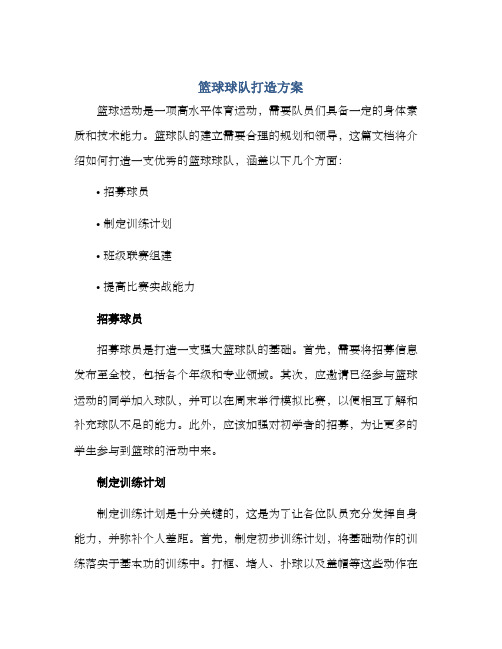 篮球球队打造方案