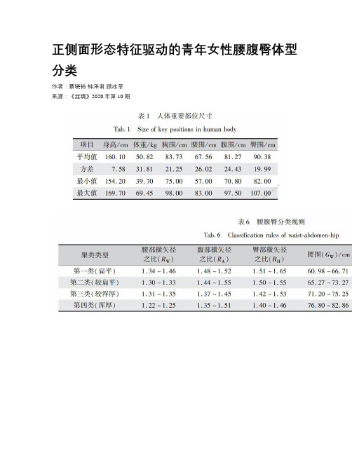 正侧面形态特征驱动的青年女性腰腹臀体型分类