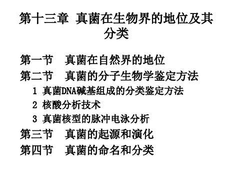 第十三章真菌的分类学地位(普通真菌学)