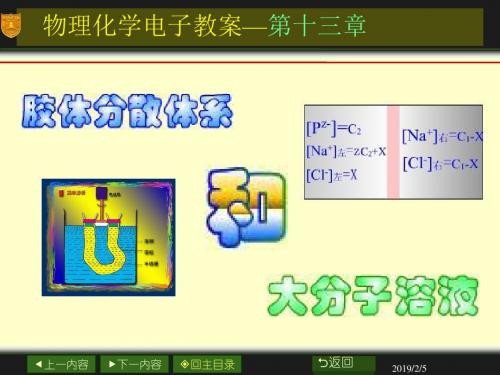 第十三章胶体分散体系和大分子溶液