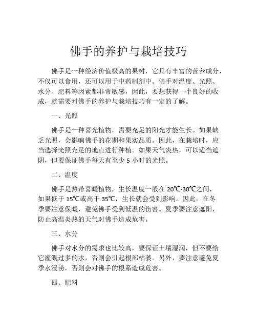 佛手的养护与栽培技巧