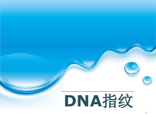 DNA指纹技术PPT课件