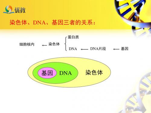 《人的性状和遗传》探究课件