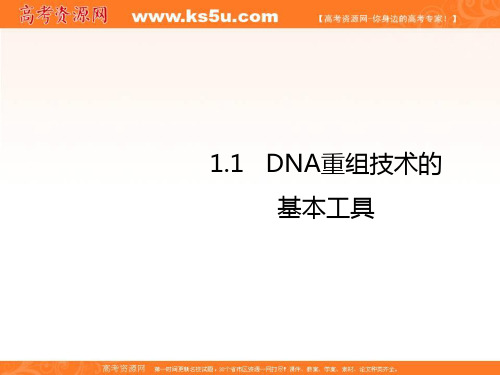 高中生物选修三1.1DNA重组技术的基本工具课件 共24张