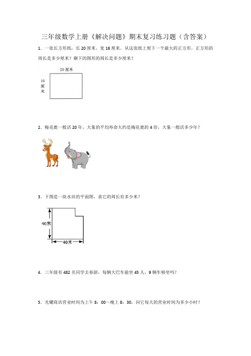 三年级数学上册《解决问题》期末复习练习题(含答案)