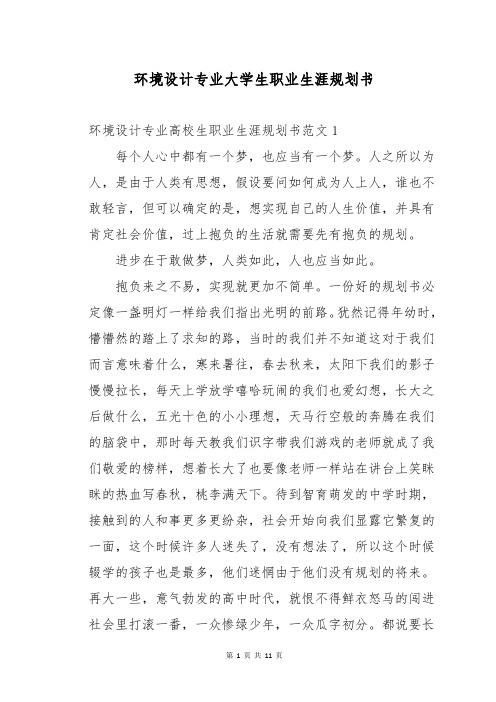 环境设计专业大学生职业生涯规划书