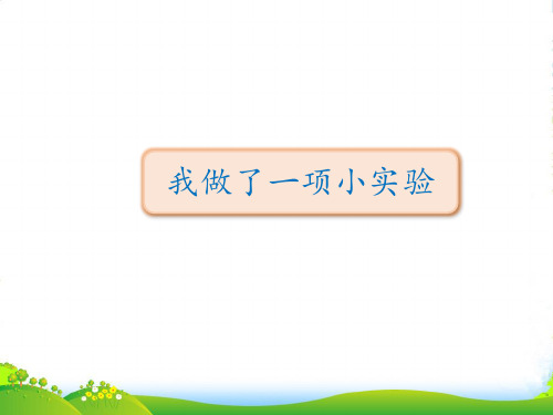 人教部编版三年级下册语文课件-第四单元 习作：我做了一项小实验 (8张)