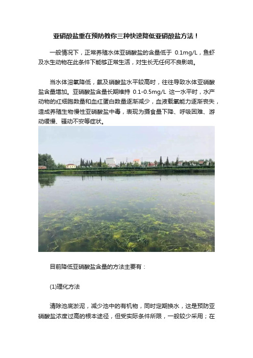 亚硝酸盐重在预防教你三种快速降低亚硝酸盐方法！