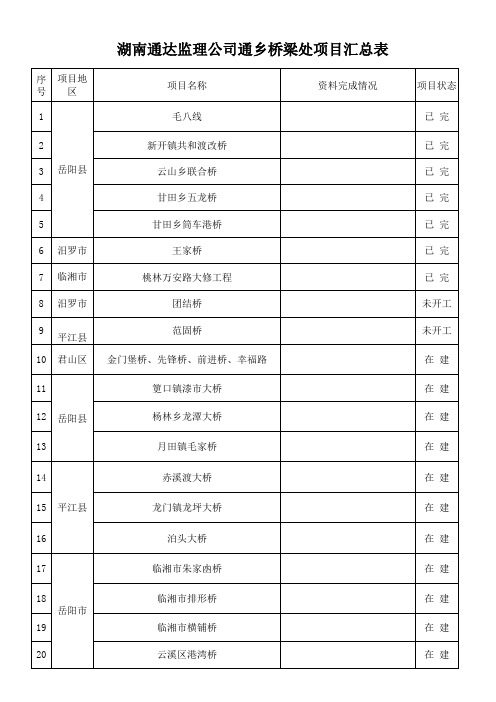 项目汇总表