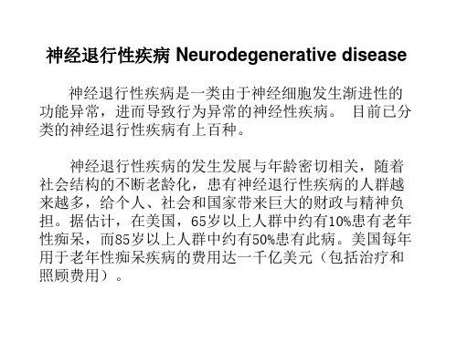 神经科学进展PPT课件