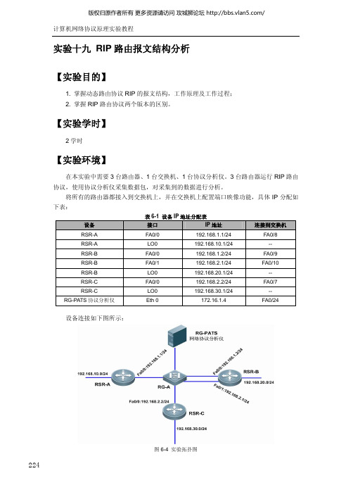 【协议分析】【RIP 路由报文结构分析】_