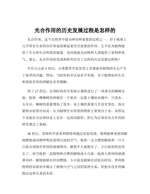 光合作用的历史发展过程是怎样的