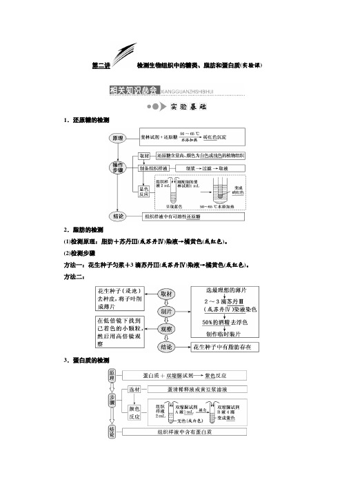 2020年高考生物(新课改专用)一轮复习  检测生物组织中的糖类、脂肪和蛋白质(实验课)