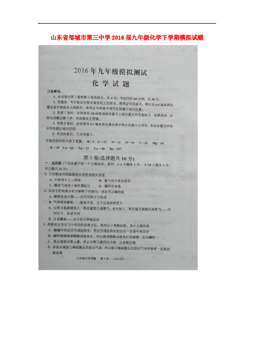 山东省邹城市第三中学九年级化学下学期模拟试题(扫描