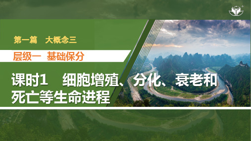 课时1 细胞增殖、分化、衰老和死亡等生命进程