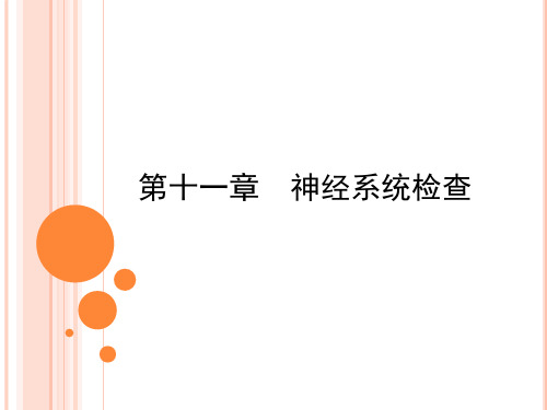神经系统反射检查