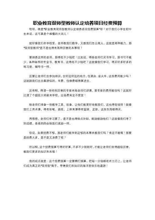 职业教育双师型教师认定培养项目经费预算