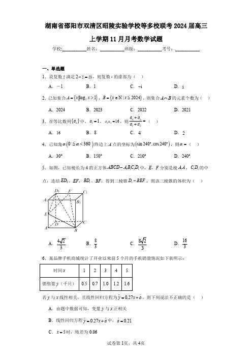 湖南省邵阳市双清区昭陵实验学校等多校联考2024届高三上学期11月月考数学试题