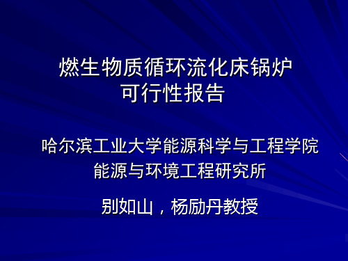 燃生物质循环流化床锅炉.