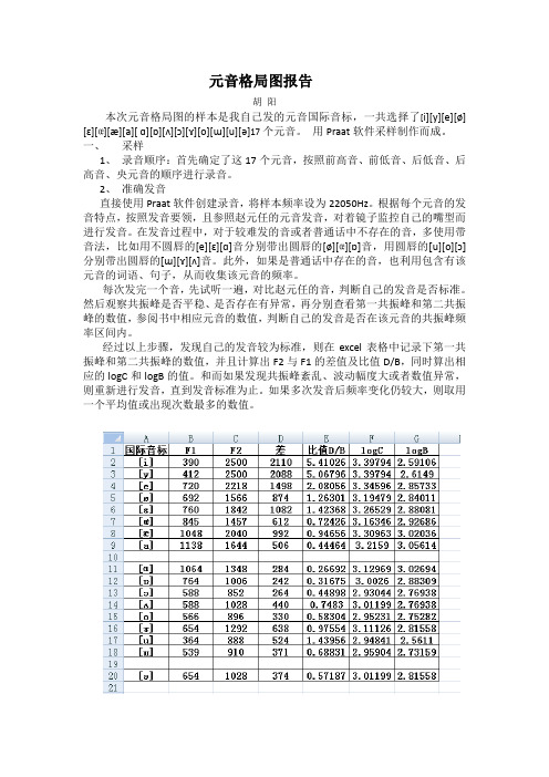 元音格局图报告 胡阳