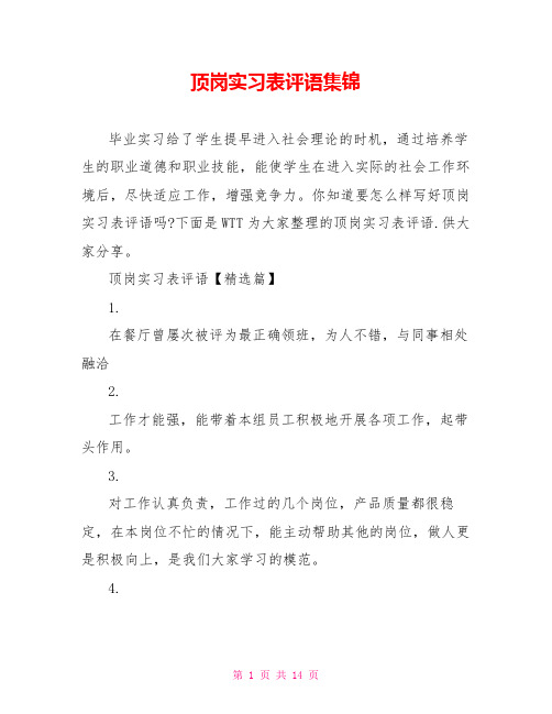 顶岗实习表评语集锦