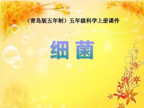 《细菌》PPT