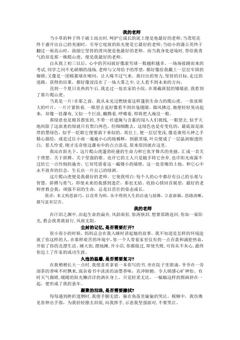 我的老师——2015年中考满分作文采撷