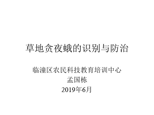 草地贪夜蛾的识别与防治PPT课件