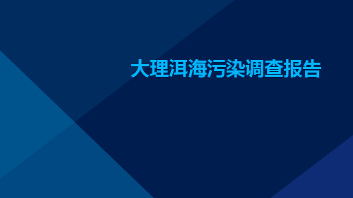 大理洱海污染调查报告