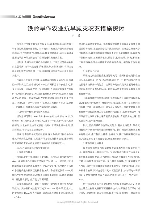 铁岭旱作农业抗旱减灾农艺措施探讨