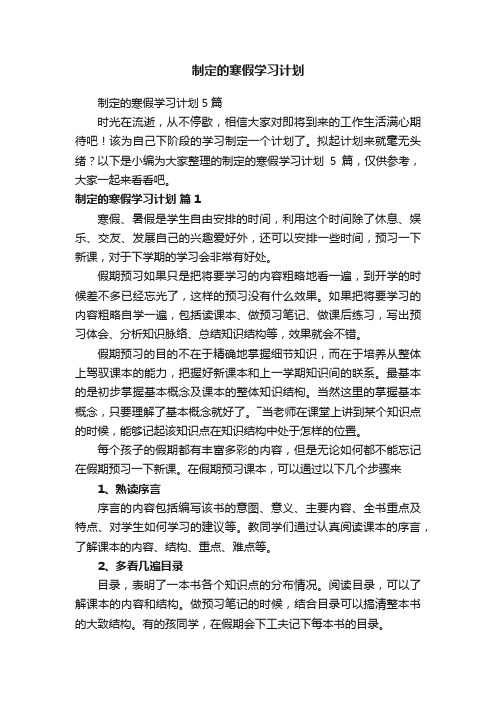 制定的寒假学习计划5篇