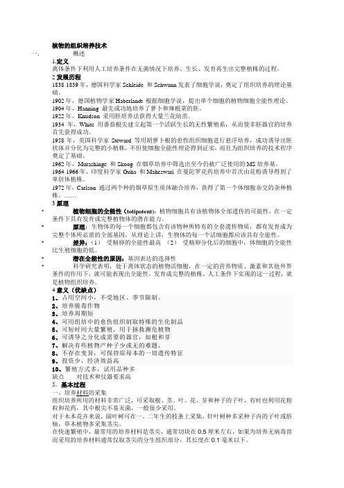 植物的组织培养技术(NK生物)