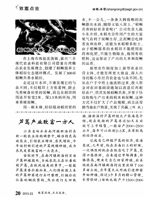 稻鳅混养 生态增收