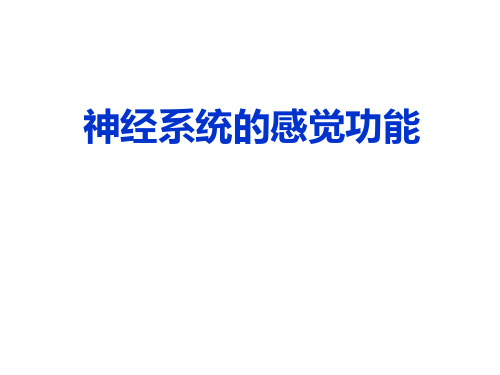 神经系统的感觉功能