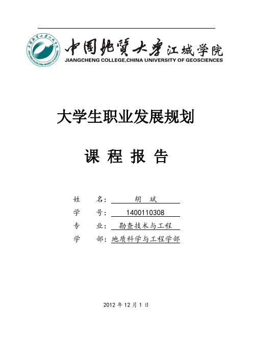 大学生职业规划-勘察技术与工程类