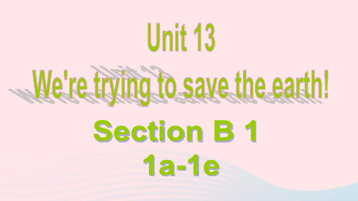 初中英语九年级全册 Unit 13 Section B (1a-2d)教学课件人教新目标版