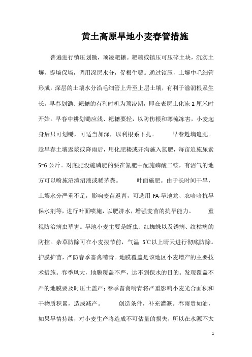 黄土高原旱地小麦春管措施