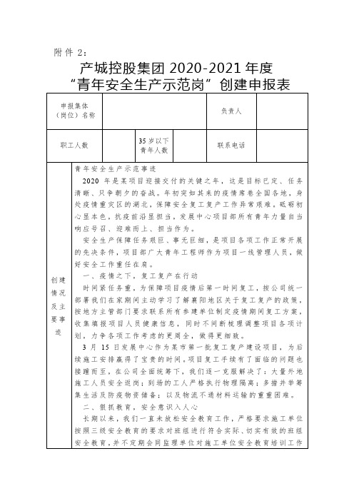 年度“青年安全生产示范岗”创建申报表