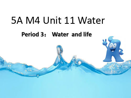 五年级英语上册：Unit 11《Water》(第1课时)