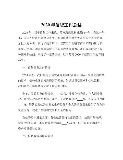 2020年信贷工作总结