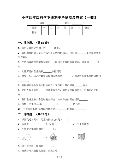 小学四年级科学下册期中考试卷及答案【一套】