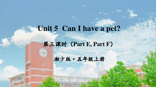 湘少版五年级英语上册Unit 5 Can I have a pet第三课时课件