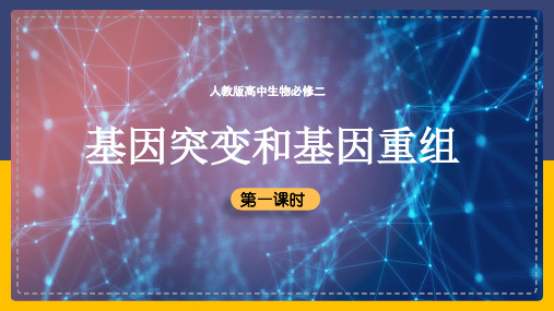 高中生物人教版必修二《5.1基因突变和基因重组》课件