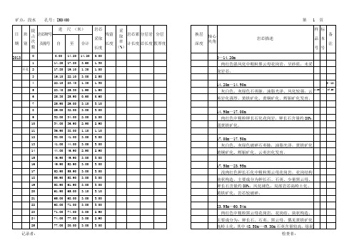 岩芯编录样表 地质钻孔数据