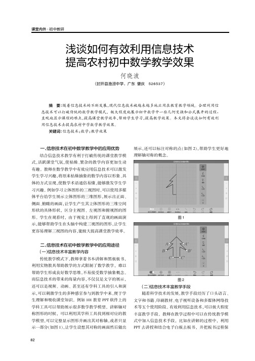 浅谈如何有效利用信息技术提高农村初中数学教学效果