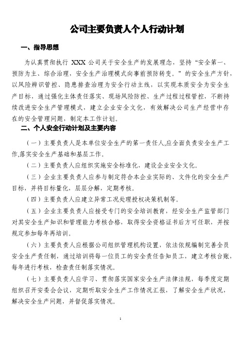 公司主要负责人个人行动计划(1)