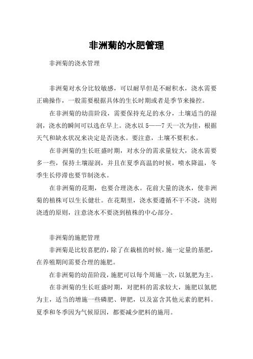 非洲菊的水肥管理