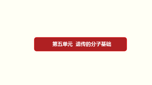 高考生物第五单元 遗传的分子基础(课件)