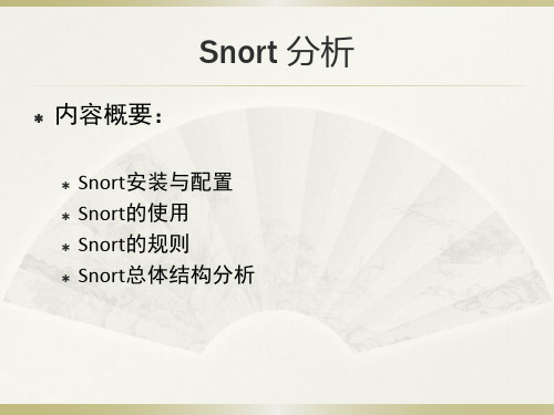 Snort 分析